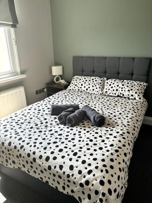 The One-Bedroom Central Brighton Retreat Extérieur photo
